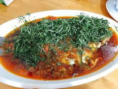 -老字号怡玺·藿香雅鱼(20年雅安店)