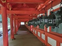 -奈良公园