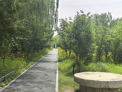 -溱湖国家湿地公园