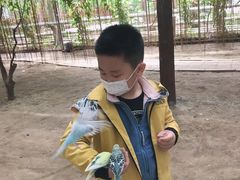 -呀路古热带植物园