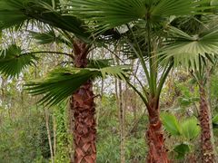 -桤木河湿地公园