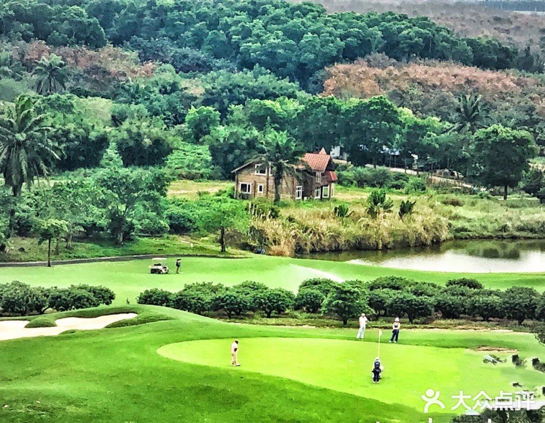 高尔夫，我来了🥰