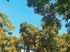 -石排湾郊野公园