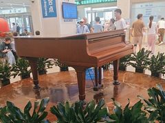 -上海交通大学医学院附属瑞金医院(总院)