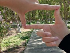 -长白岛森林公园