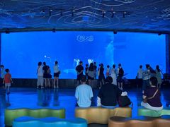 -海合安成都极地海洋公园