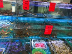 水产区-洲晓鲜·舟山海鲜大排档(朱家尖风景区店)