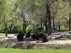 -北京野生动物园