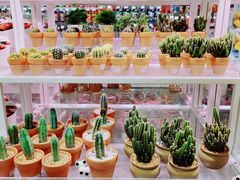 -KKV(东莞海德汇一城店)