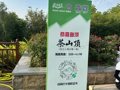 -东莞市大岭山森林公园