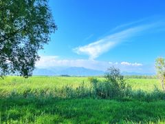 -野鸭湖国家湿地公园