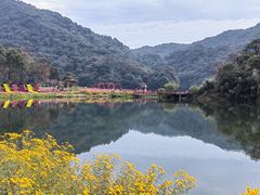 -广州市石门国家森林公园
