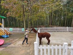 -天目湖涵田度假村