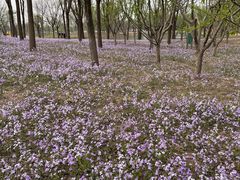 -东郊湿地公园