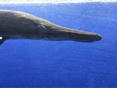 -东楠湾足浴·24H(金平路店)