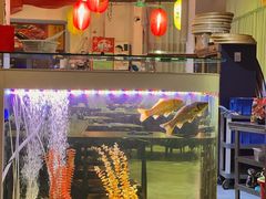 -东鸽皇(奥园·中环广场店)