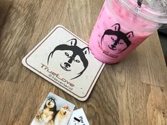 -TrueLove @ Neverland (Husky Cafe)