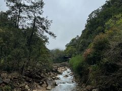 -姑婆山旅游区