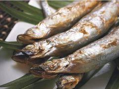 照烧多春鱼-一本久捷(新福店)