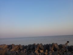 -南汇嘴观海公园