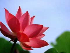 -维也纳国际酒店·佛山南海千灯湖桂城地铁站店