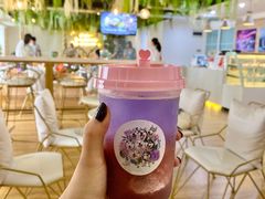 -Husky Go! 哈士奇体验馆·宠物咖啡厅狗咖