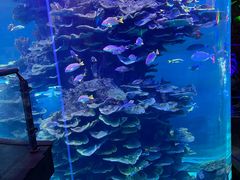 -泉城欧乐堡海洋极地世界