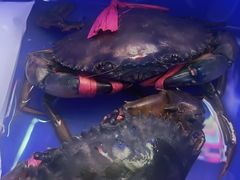 -阿弟特色海鲜餐厅·大排档(平潭店)