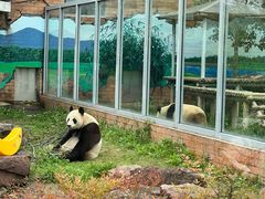 -苏州太湖国家湿地公园