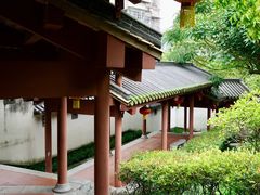 -广州神农草堂中医药博物馆