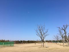 -春花秋色城市公园