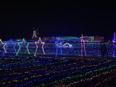 -大塘金香草谷