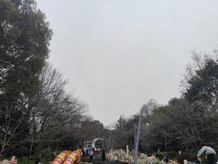 -杭州少年儿童公园