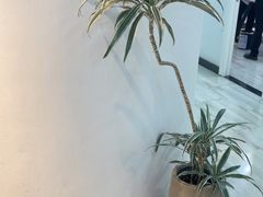 -牙博士口腔品牌连锁(昆山城区店)