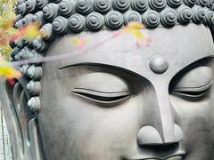 -杭州植物园