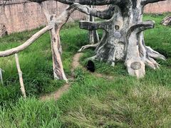 -南昌动物园
