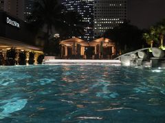 -新加坡文华东方酒店