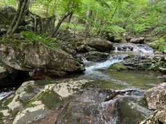 -浙西天池景区