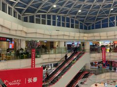 -高新活力汇Vitality