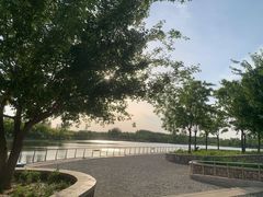 -东郊湿地公园