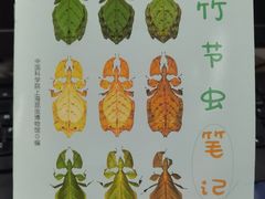 -上海昆虫博物馆