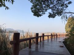 -东湖落雁景区