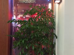 -老徽州臭鳜鱼(老街店)
