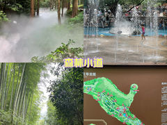 -东明山森林公园