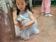 -正佳雨林生态植物园