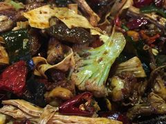 -食乐佳麻辣香锅(森林摩尔商业街区店)