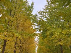 -中国人民抗日战争纪念雕塑园