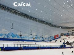 -哈尔滨热雪奇迹