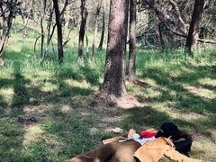 -南京市无想山景区