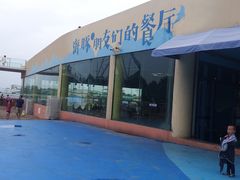 -秦皇岛乐岛海洋王国